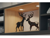 Loox5 LED2047 DL D65mm+Adp 12V/3W 4K SS