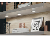 Loox5 LED2050 DL D65mm 12V/2.5W 5K Slv