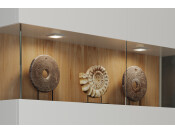 Loox5 LED2051 65x65mm 12V/2.5W 2700K Slv