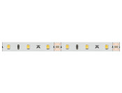 Loox5 LED2071 8mm 5M 12V/4.8W 5000K