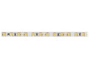 Loox5 LED2060 5mm 5M 12V/4.8W 5000K