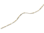 Loox5 LED2060 5mm 5M 12V/4.8W 5000K