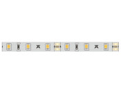 Loox5 LED2062 8mm 5M 12V/4.8W 4000K