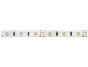 Loox5 LED2064 8mm 5M 12V/4.8W 27-50K