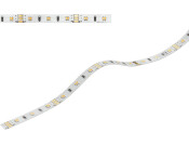 Loox5 LED2064 8mm 5M 12V/4.8W 27-50K