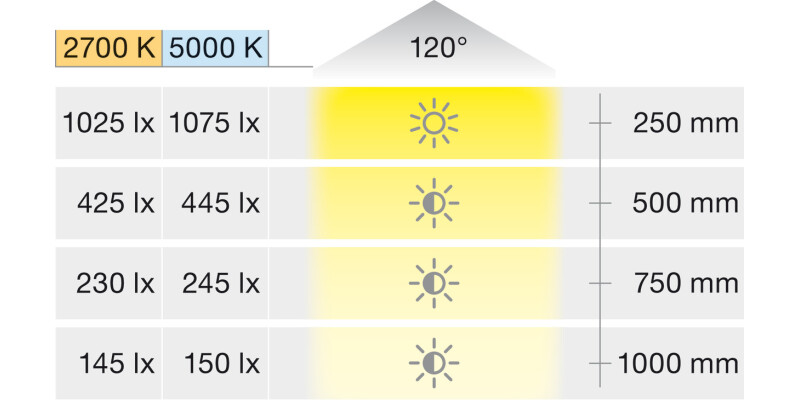 Loox5 LED2064 8mm 5M 12V/4.8W 27-50K