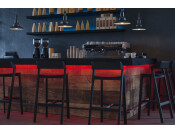 Loox5 LED2080 10mm 5M 12V/9.6W RGB