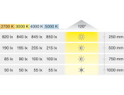 Loox5 LED3099 4mm 3M 24V/9.6W 2700K