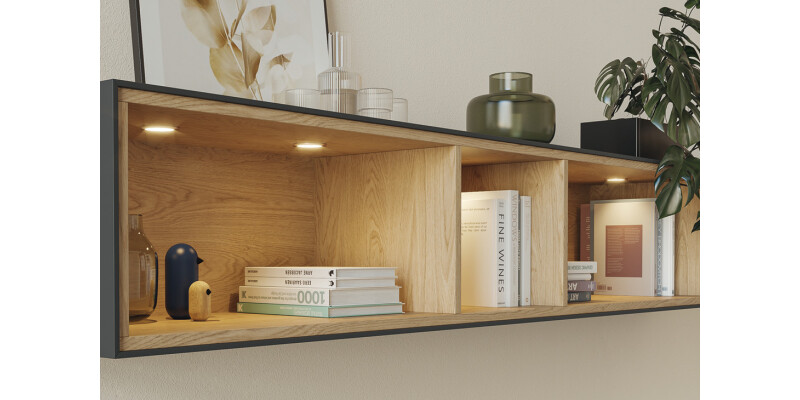 Loox5 LED3094 DL D65mm 24V/2.5W 5000K B