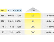 Loox5 LED3038 DL D65mm+Adp 24V/3W 5K CP