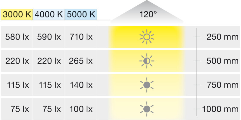 Loox5 LED3038 DL D65mm+Adp 24V/3W 3K SS