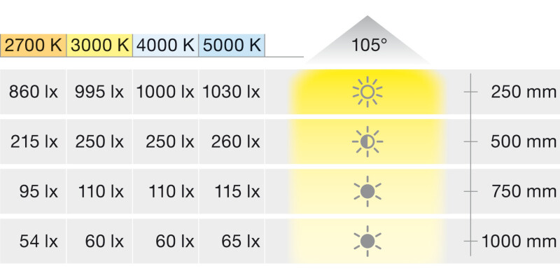 Loox5 LED3094 DL D65mm 24V/2.5W 2700K SS