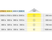 Loox5 LED3050 8mm 5M 24V/9.6W 5000K W
