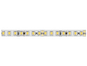 Loox5 LED3050 8mm 50M 24V/9.6W 5000K