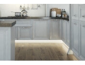 Loox LED2062 8mm 5M Set 12V/4.8W 5000K