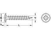 Hospa Scr Ful Flat PZ2 D3.5x25mm Glv