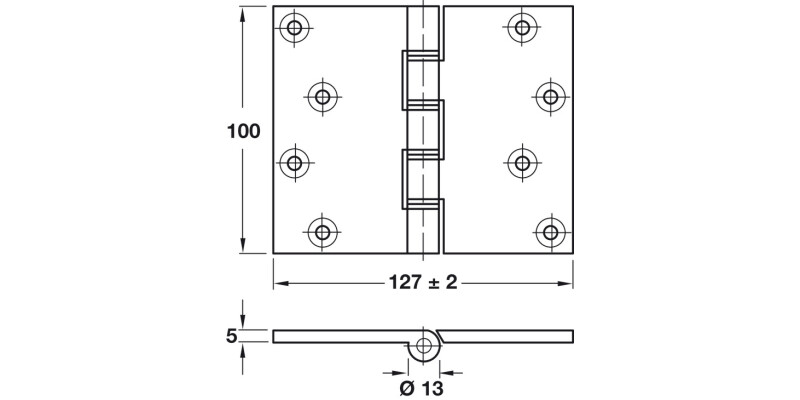 Butt Hinge Proj DPBW 100x125mm Brs PB