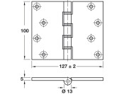 Butt Hinge Proj DPBW 100x125mm Brs PB