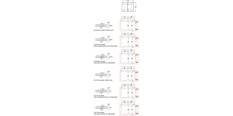 180D Shower Dr Hinge Gls-Gls Brs PCP