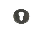 Alexander and Wilks Concealed Fix Escutcheon Euro Profile
