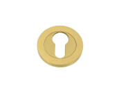 Alexander and Wilks Concealed Fix Escutcheon Euro Profile