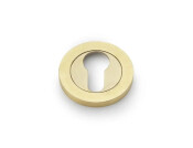 Alexander and Wilks Concealed Fix Escutcheon Euro Profile