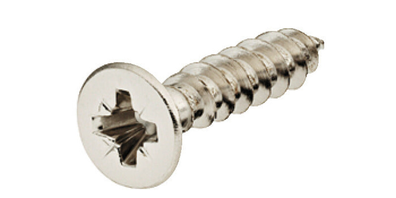 Hospa Scr Ful Csk PZ1 D2.5x16mm SNP