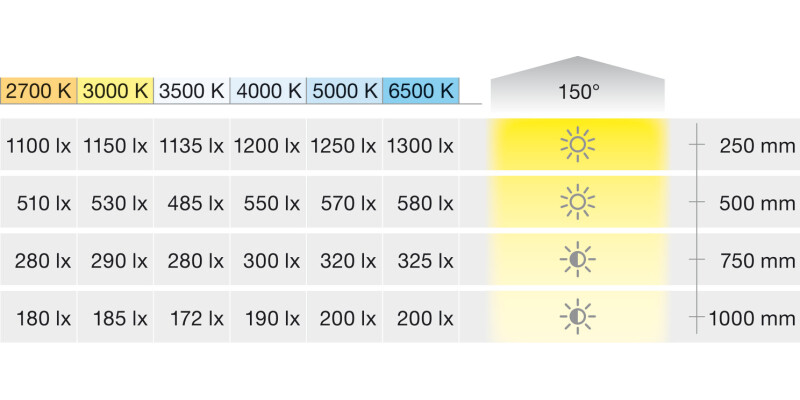 Loox5 LED3104 8mm COB 5M 24V/9.6W 2700K
