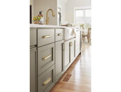 Palladium Cup Hdl ZA Gld Chpg 160mm cc