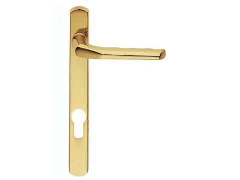 Carlisle Brass Straight Multipoint Door Handle on Backplate - Pair