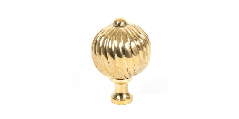Polished Brass Spiral Cabinet Knob - Large