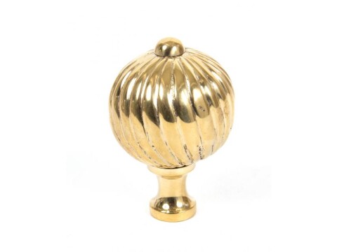 Polished Brass Spiral Cabinet Knob - Large