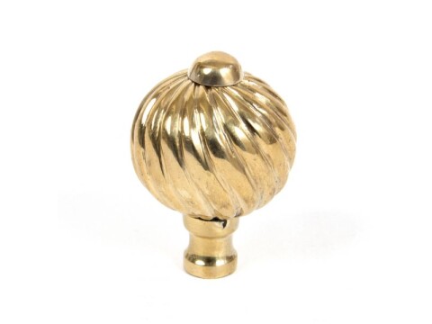 Polished Brass Spiral Cabinet Knob - Small