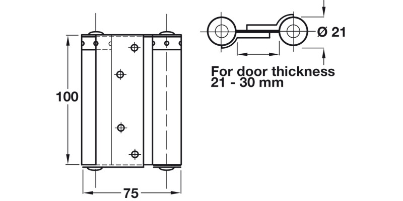 Spring Hinge Dbl Act 100x75mm St Slv