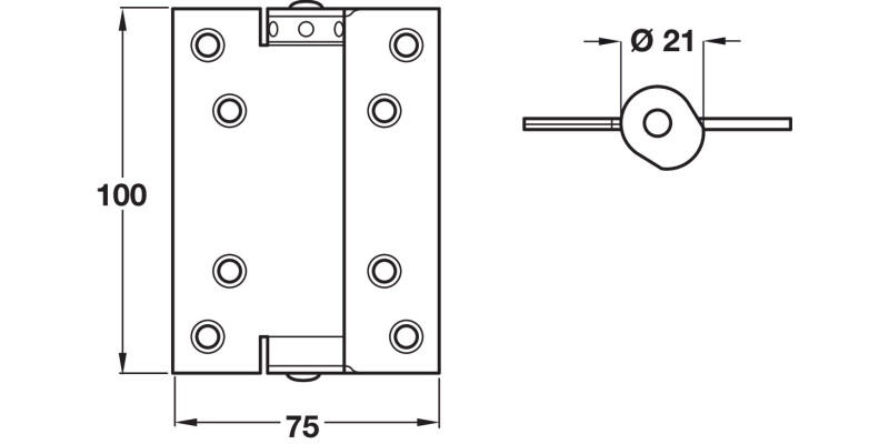 Spring Hinges Sgl Act 100x75mm Silver