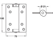 Spring Hinges Sgl Act 100x75mm Silver