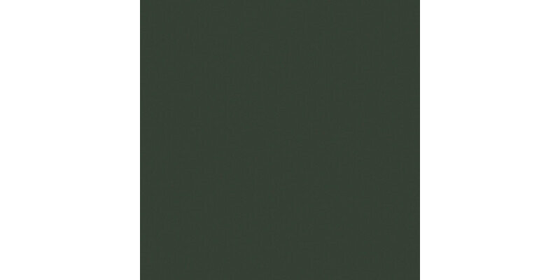 AluSplash™ Splashback, Elements Aluminium, Matt Alusplash, 800 x 900 mm Matt Forest green/Autumn leaves