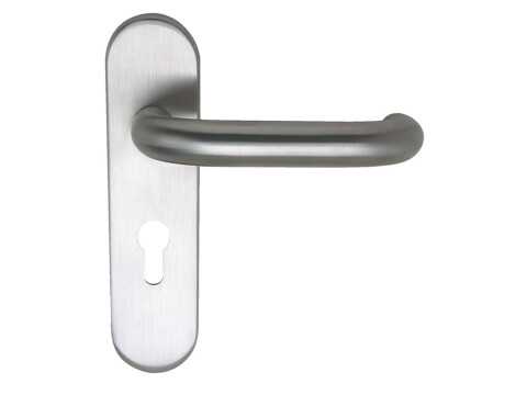 Snowdon Lvr Hdls/Plt 19mm ProCyl 316 SSS