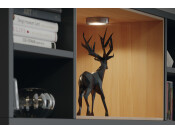Loox LED2020 Bezel Rnd SM 12V PC