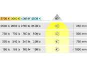 Loox LED2025 DL 12V/3.8W 5000K Slv