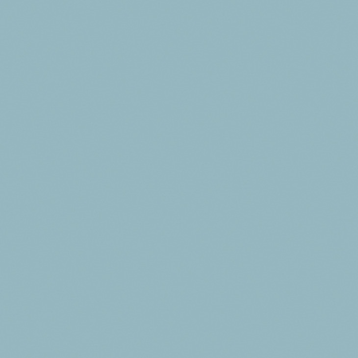 AluSplash Elegance 750x3050mm Spc/B.bird