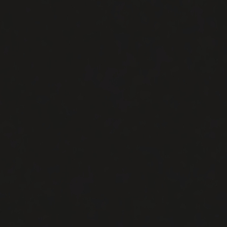 AluSplash Elegance 750x3050mm Ebony/B.St