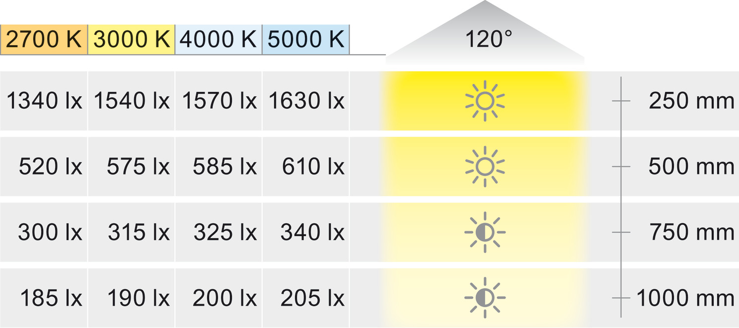 Loox5 LED2069 8mm 5M 12V/4.8W 5000K