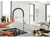 Grohe Essense Pro Mixer w PO Spray BSS