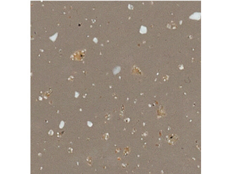 Worktop with Integrated Acrylic Sink, Solid Surface, Brazilian Greige, Maia