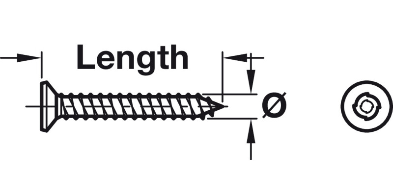 Security Screw Sentinal 1W PZ2 4.2x19mm