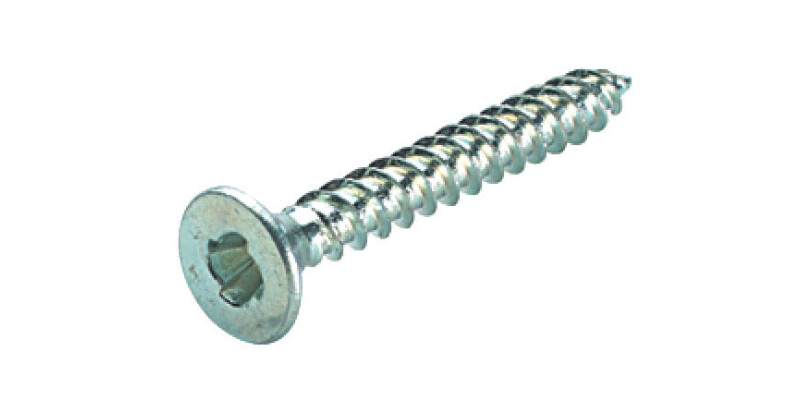 Security Screw Sentinal 1W PZ2 4.2x19mm