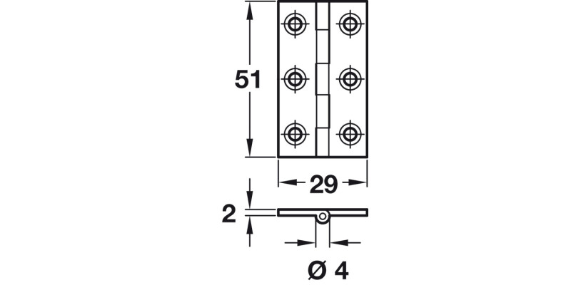 Broad Style Hinge D4x51x29mm Brass SC