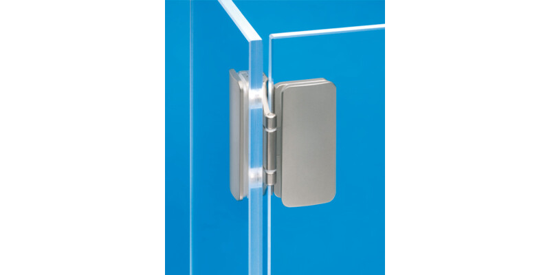 180D Glass Door Hinge ExAxle Inset
