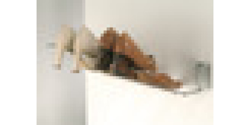 Wall Rail f Shoe Rack 1120x31.5x14mm Chr